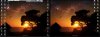 desktop-dual.jpg