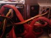 20090523_087.jpg