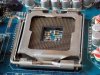 LGA775.jpg