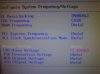 PH20091208145517.jpg