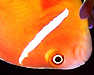 bens 009.jpg