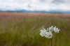 Oregon Trip-244.jpg