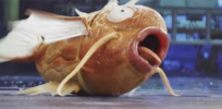 1744945360898.png