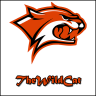 TheWildCat