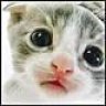 Lilit