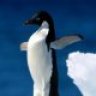 tuxer