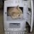 mrgcat